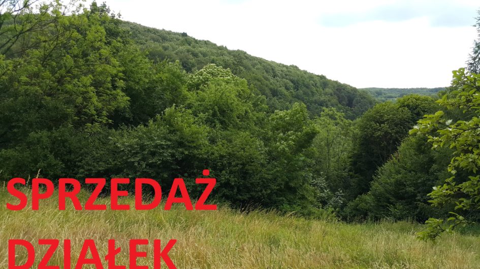 atrakcyjne dzialki malopolska